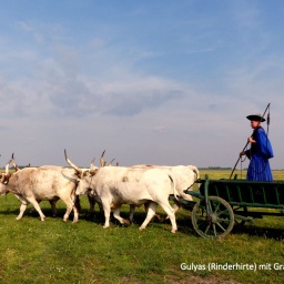 wanderreise_hortobagy_62