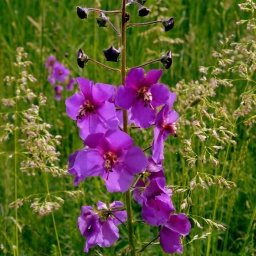 wanderreise_hortobagy_7