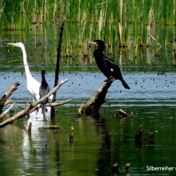 wanderreise_theiss_see_9