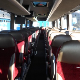 man_lionscoach_50erbus_30