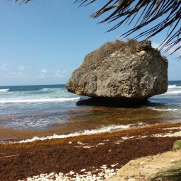 karibik-kreuzfahrt_2018_17