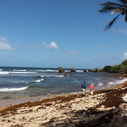 karibik-kreuzfahrt_2018_18