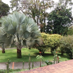 karibik-kreuzfahrt_2018_27