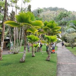 karibik-kreuzfahrt_2018_31