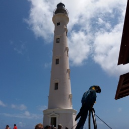 karibik-kreuzfahrt_2018_50