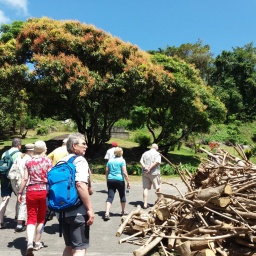 karibik-kreuzfahrt_2018_8