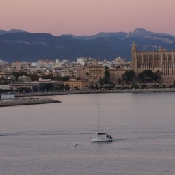 palma-vom-schiff