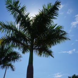 karibik_kreuzfahrt_magica_10