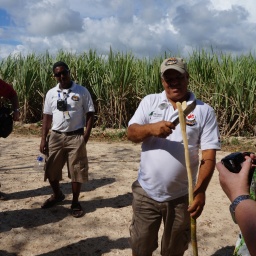 karibik_kreuzfahrt_magica_12