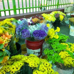 kolumbien_rundreise_2019_2