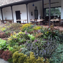 kolumbien_rundreise_2019_26