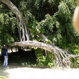 kolumbien_rundreise_2019_31