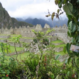 machu-picchu-7