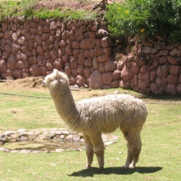 peru-2