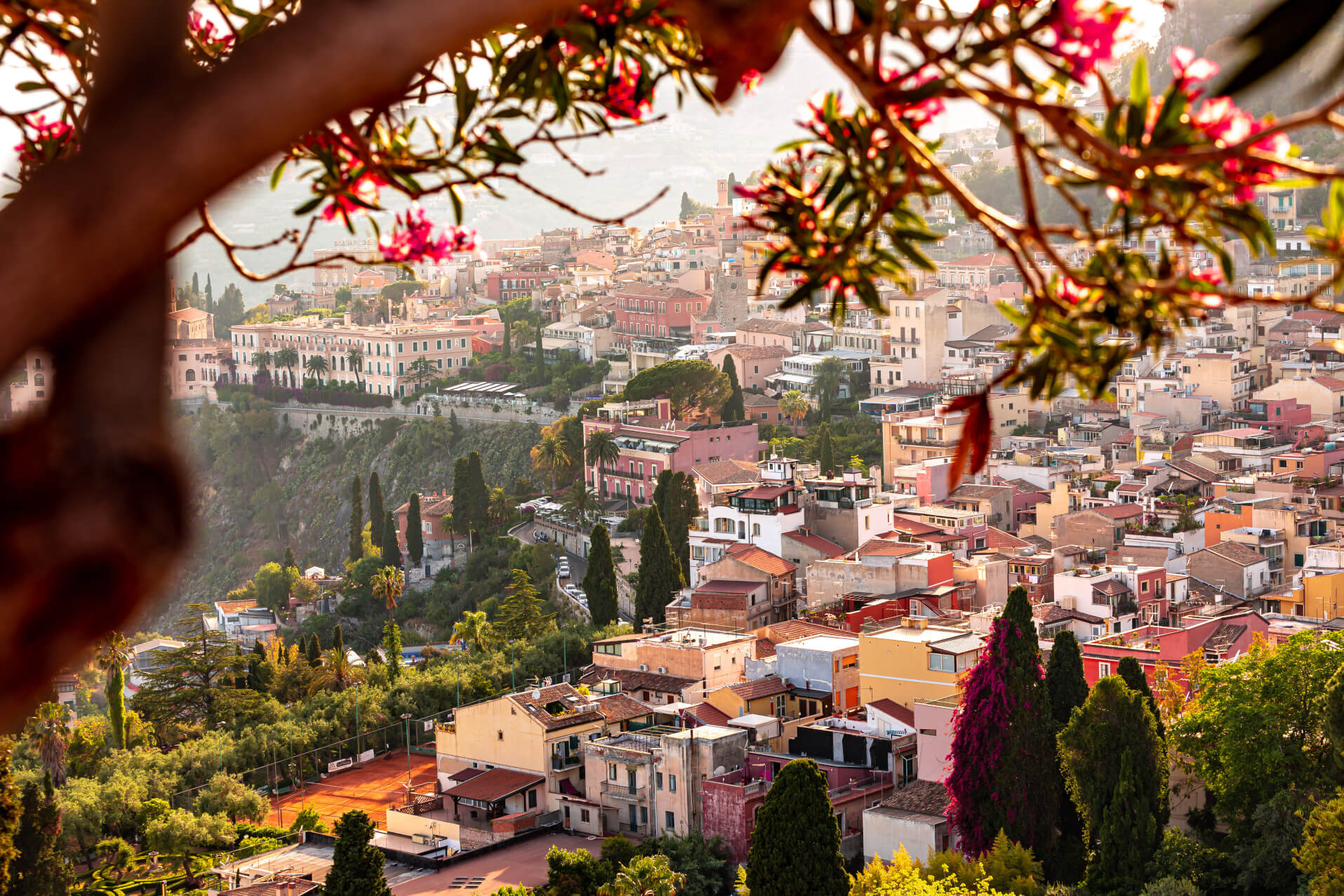 Blick auf eine bunte Stadtlandschaft, umgeben von Bäumen, mit blühenden Pflanzen im Vordergrund.