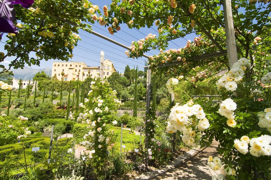 Ein blühender Garten mit Rosen, umgeben von Bäumen und einem historischen Gebäude im Hintergrund.