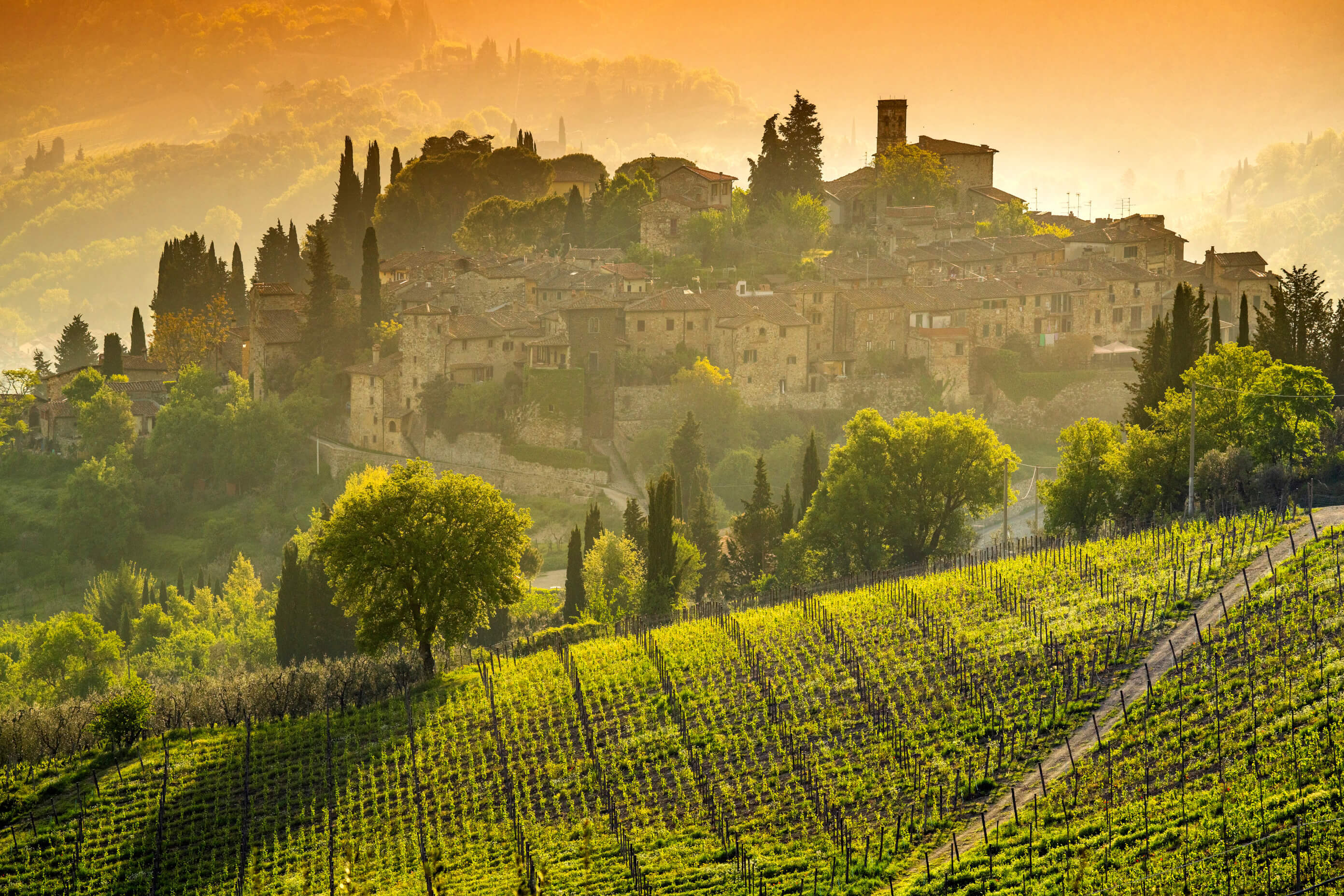 Eine malerische Landschaft mit Weinbergen und einem charmanten Dorf im warmen Licht der Abenddämmerung.