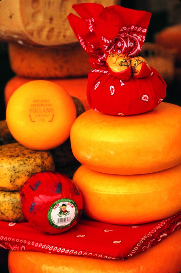 Bunte Käsesorten türmen sich, umgeben von roten Tüchern. Ein Blick auf holländischen Käse und seine traditionelle Präsentation.