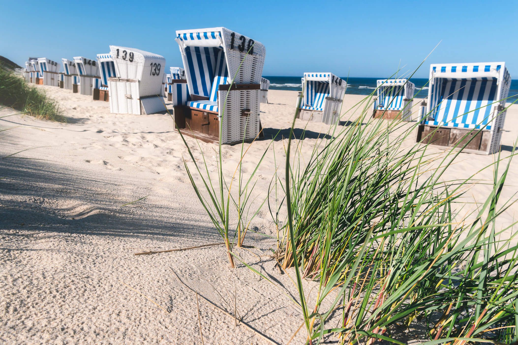 Am Strand stehen gemütliche Strandkörbe zwischen feinem Sand und Gras. Blau-weiße Streifen strahlen im Sonnenlicht.