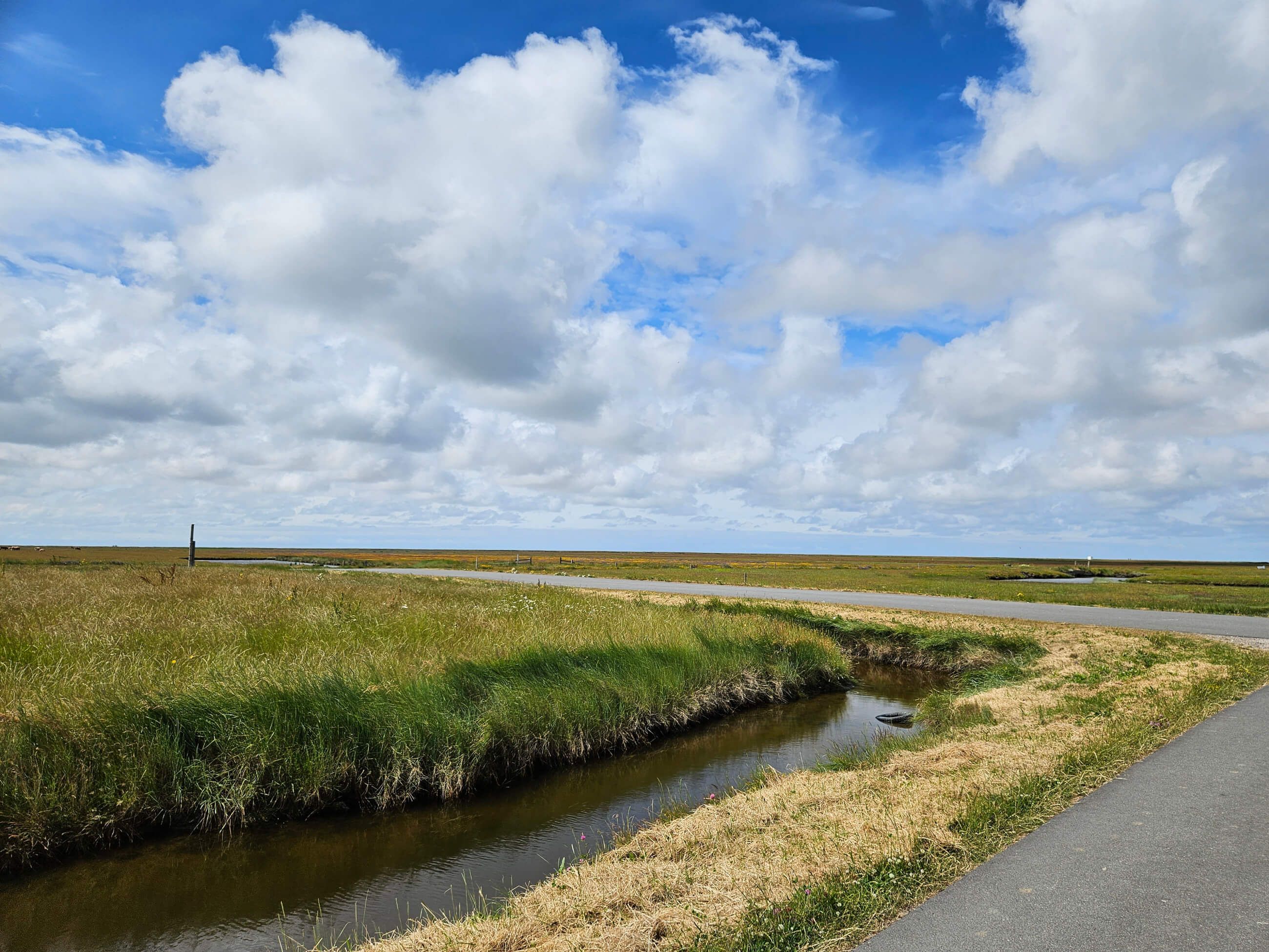 Eine weite Landschaft mit Gras, einem kleinen Wasserlauf und einem klaren blauen Himmel voller Wolken.