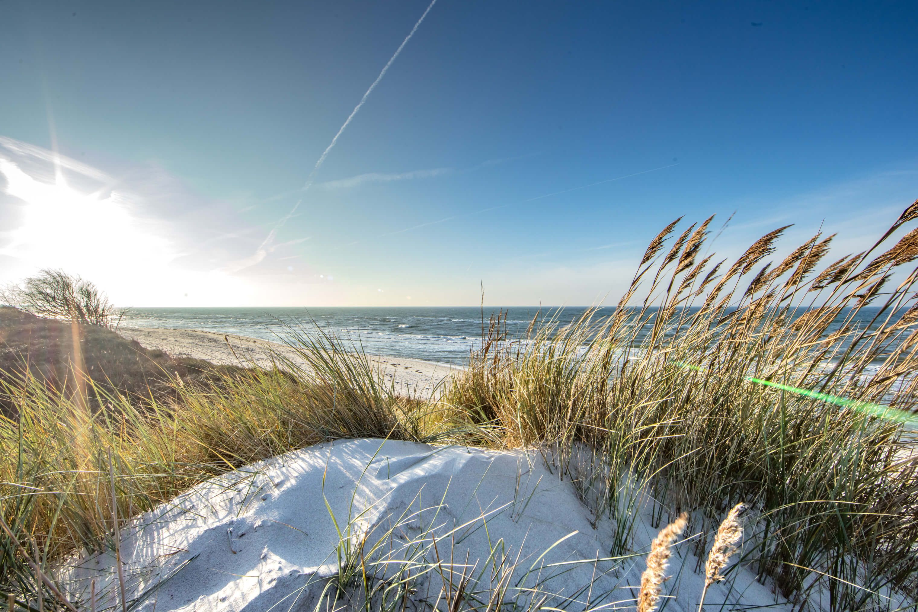 Ein sonniger Strand mit Sanddünen und Gras vor einem weitläufigen Meer und klarem blauen Himmel.