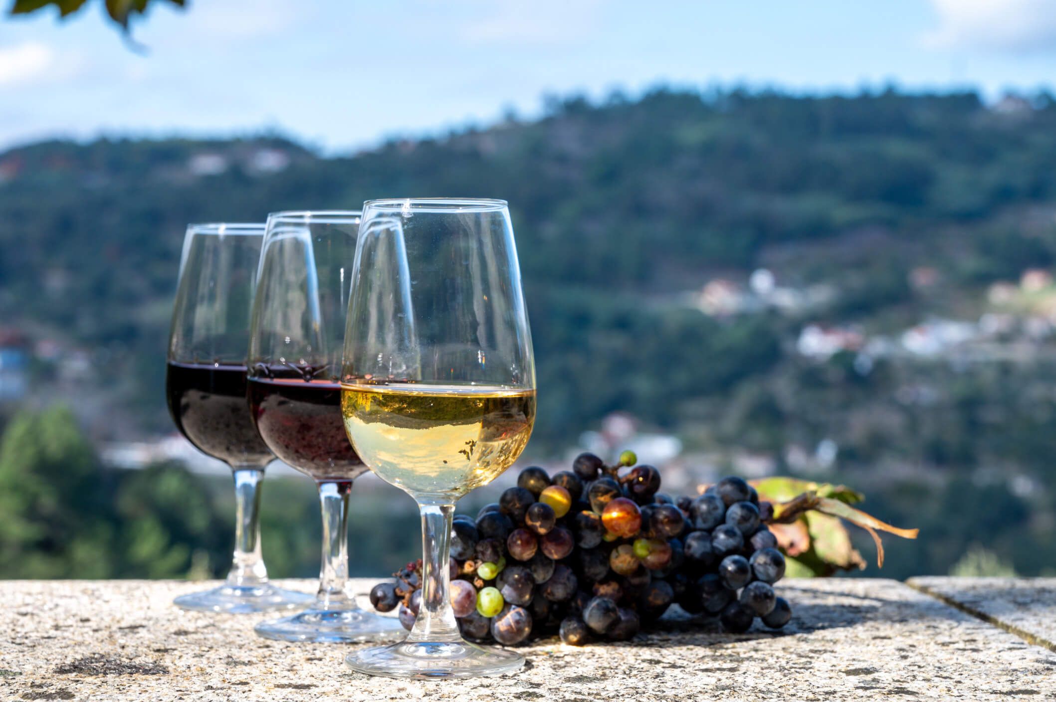 Drei Weingläser mit rotem, rosé und weißem Wein, neben Trauben und einer grünen Landschaft im Hintergrund.