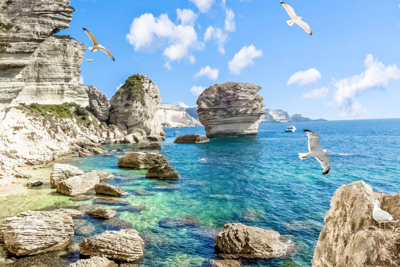 Eine Küstenlandschaft mit grünem Wasser, Felsen und Möwen unter einem blauen Himmel mit Wolken.