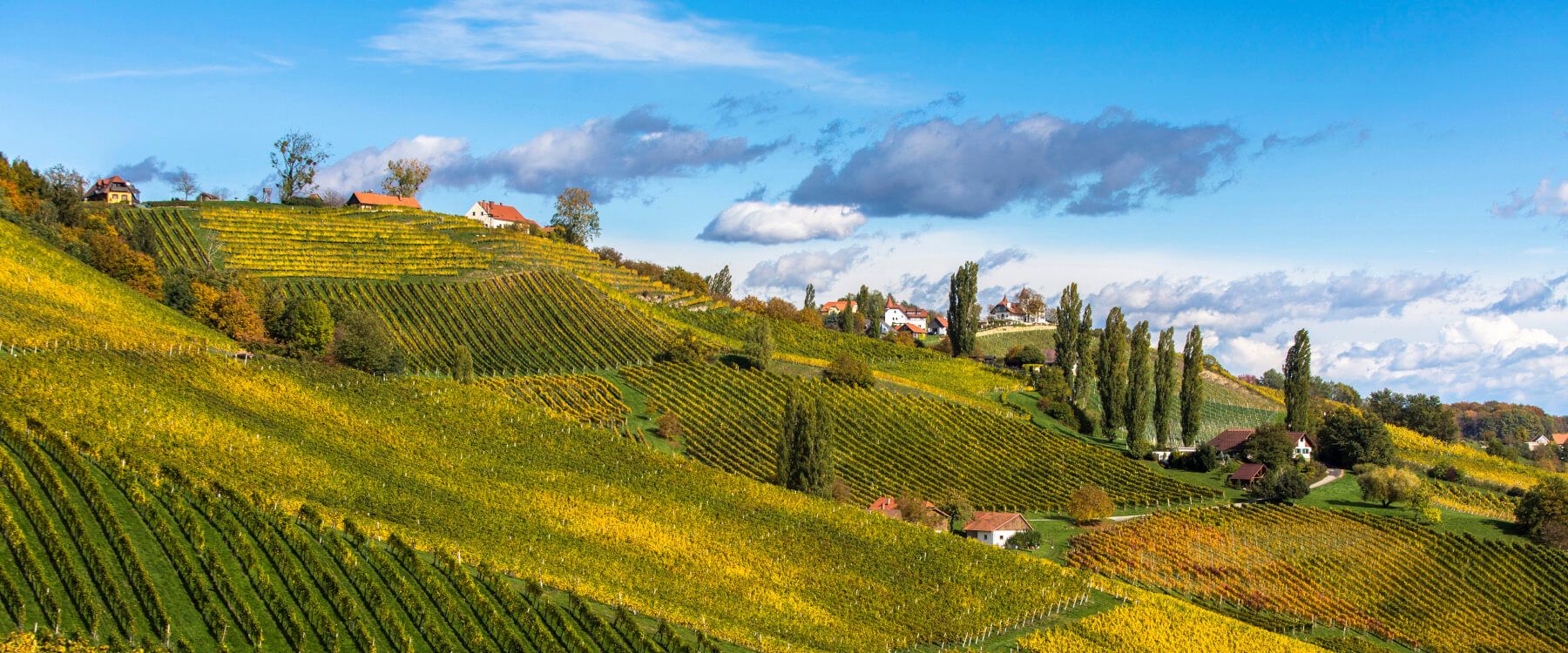 Südsteiermark und slowenische Weinstrasse