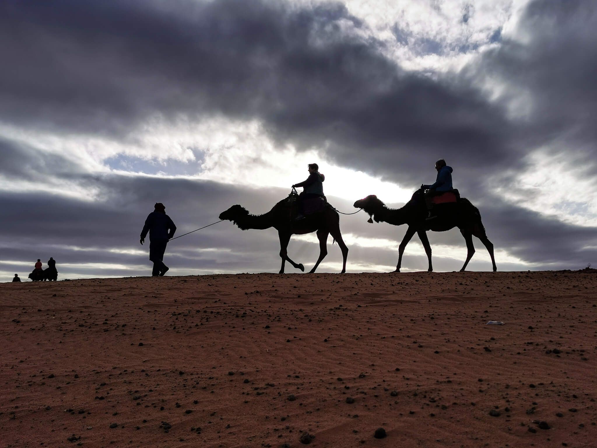 Kamele gehen durch die Wüste, während Menschen in der Silhouette den Sonnenuntergang bewundern.