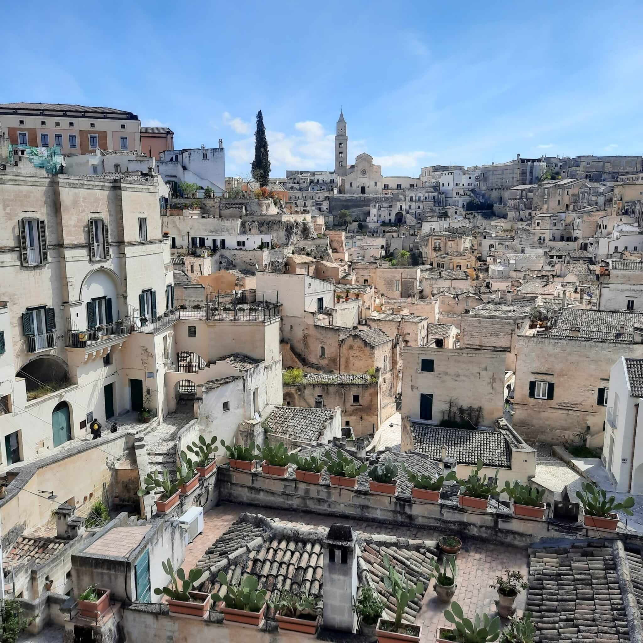 Eine malerische Aussicht auf die historischen Häuser von Matera mit weißen Wänden und grünen Pflanzen.