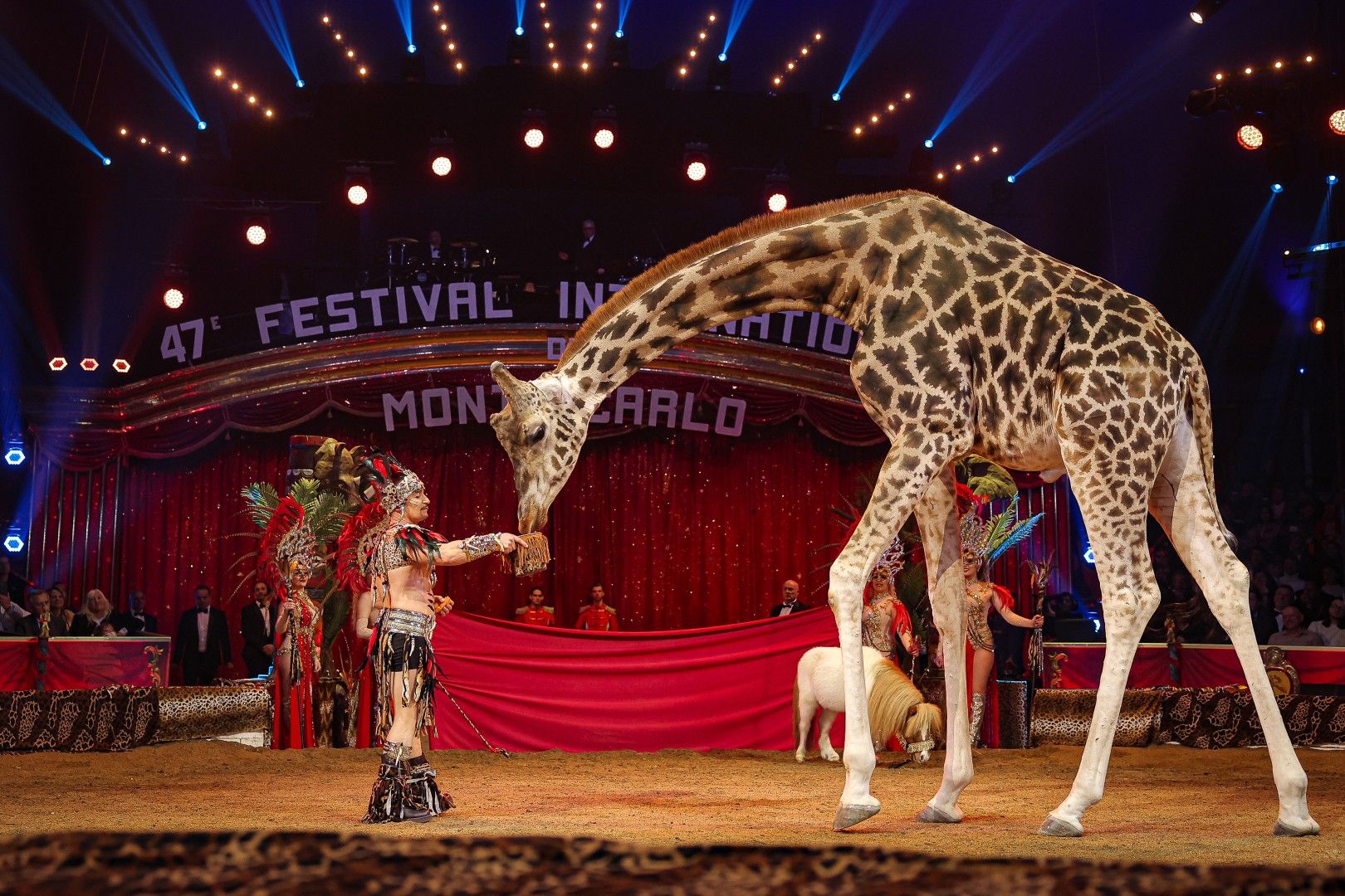 Ein Zirkusauftritt mit einem Menschen und einer Giraffe, umgeben von bunten Lichtern und Publikum.