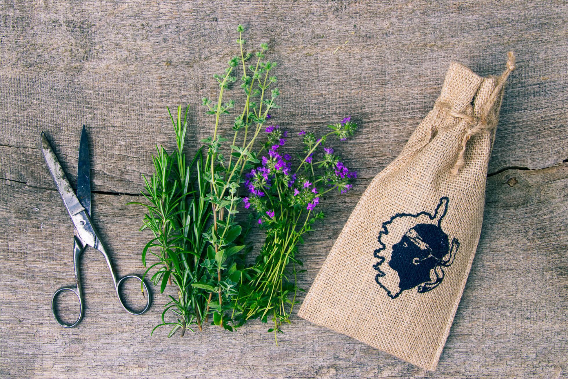 Eine Schere, frische Kräuter und ein Jutesäckchen mit einem Aufdruck auf einer Holzoberfläche.