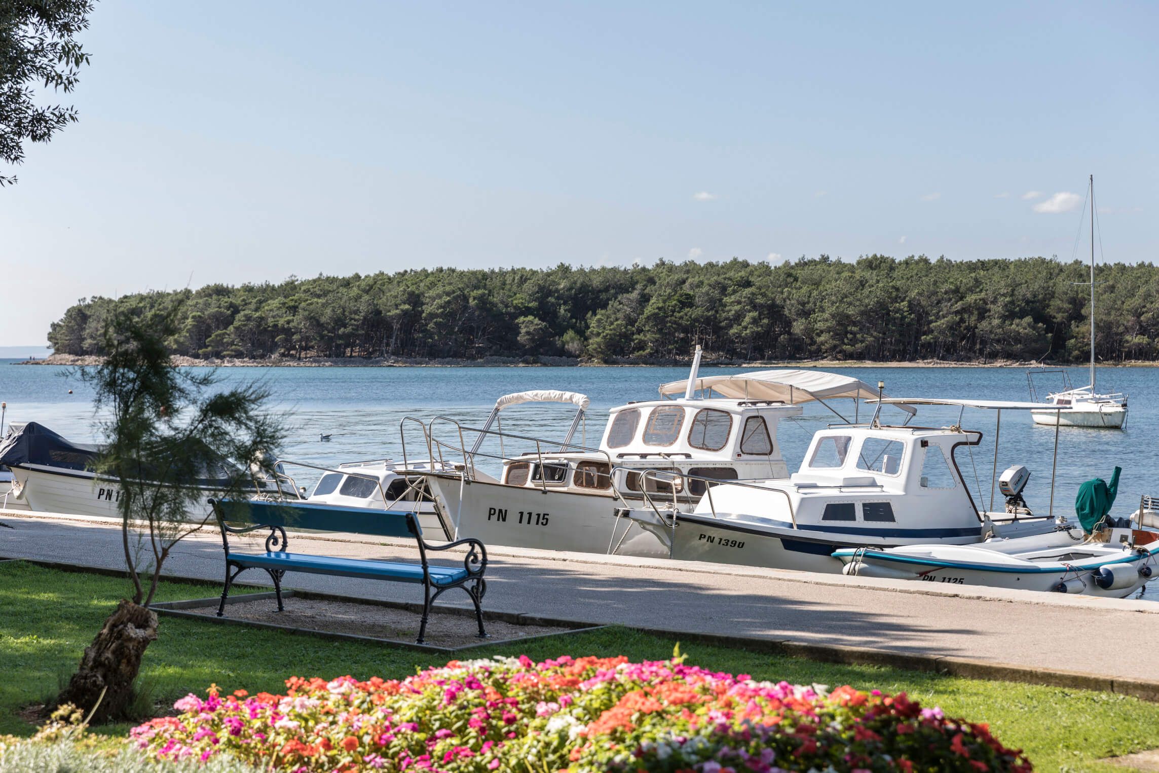 Ein schöner Hafen mit Booten, einer Blumenrabatte und Bäumen, umgeben von einem ruhigen Wasser und Wäldern im Hintergrund.